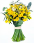 Daffodil picture